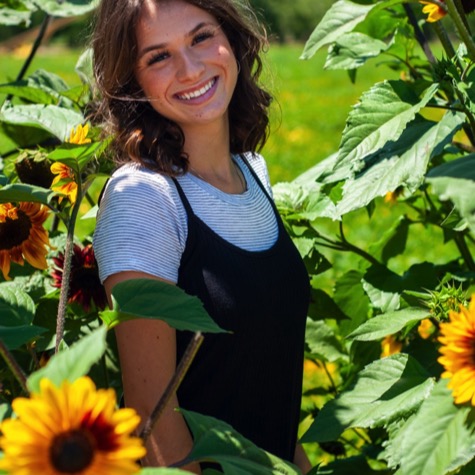 Young woman smiling among tall sunflowers during a bright outdoor professional senior portrait photography session by Kay Fritze of Fritze Media