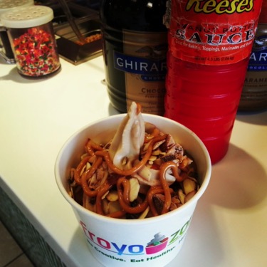 WORK: Instagram Management | CLIENT: Froyo Zone Frozen Yogurt Inc. (2011 - 2013)