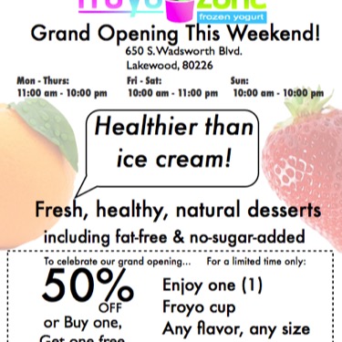 WORK: Flyer creative (8.5 inch by 11 inch, print) | CLIENT: Froyo Zone Frozen Yogurt Inc. (2011 - 2013)